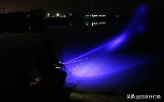 为什么夜钓鲫鱼不开口