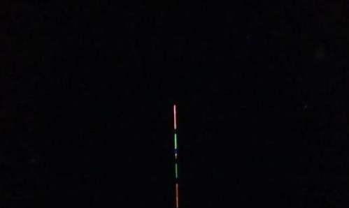 为什么夜钓鲫鱼不开口