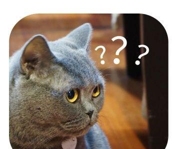 天涯八卦帖子深扒邓伦