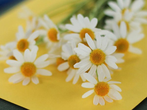 男人经常找女友聊天