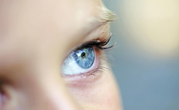 补睫毛一般多少天去补