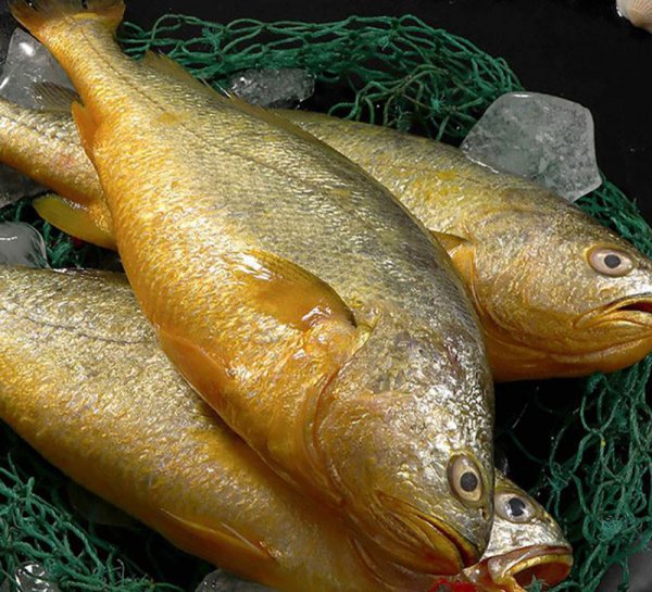 小黄鱼和黄花鱼一样吗