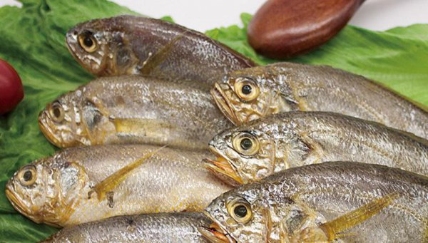 小黄鱼和黄花鱼一样吗