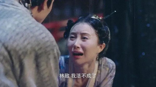 大唐荣耀林致结局