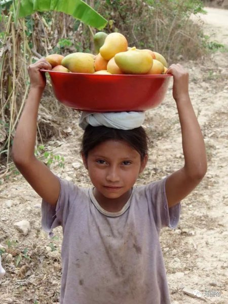 洪都拉斯蓝洞地理位置
