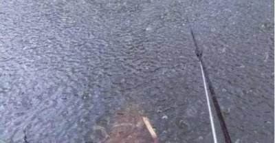 下雨钓鱼最佳方法 下雨天野钓鲫鱼有什么合适的技巧
