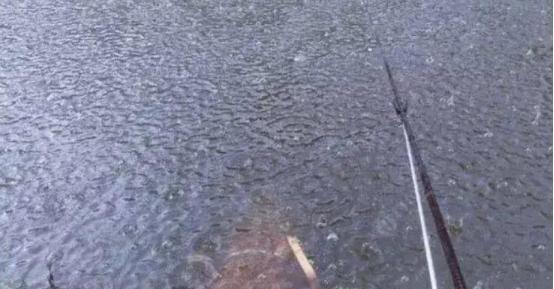 下雨钓鱼最佳方法