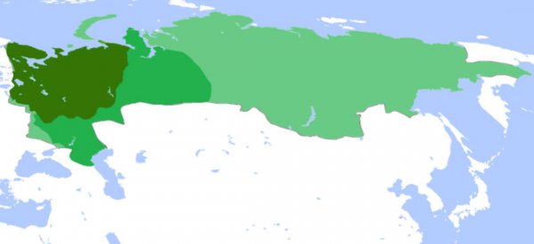 世界上最大国家是俄罗斯吗