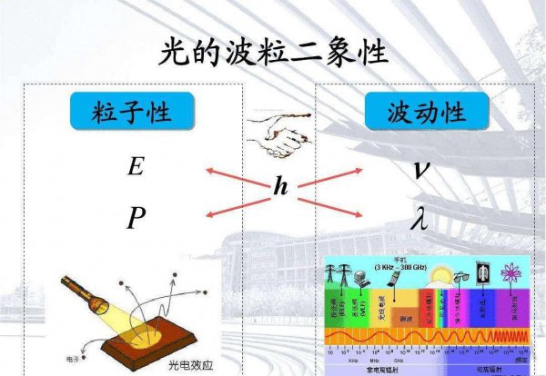 电子双缝干涉实验说明了什么