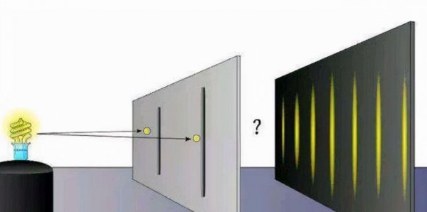 电子双缝干涉实验说明了什么