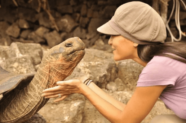 草龟要养多久才认主人