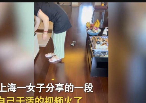 乌龟盯着主人看表示什么