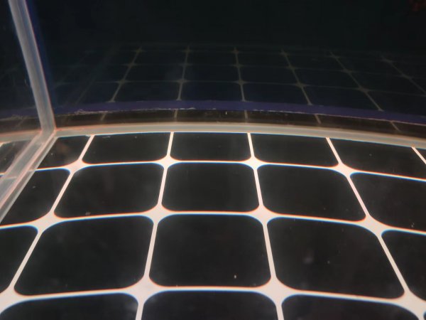 为什么森森鱼缸爆缸多