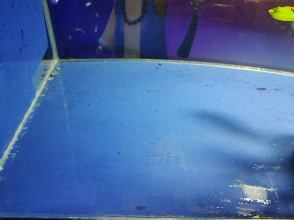 为什么森森鱼缸爆缸多