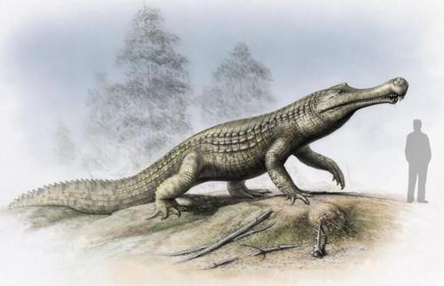 史上最大的鳄鱼