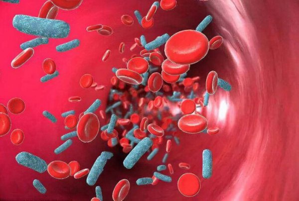 巨型蜥蜴位于哪里