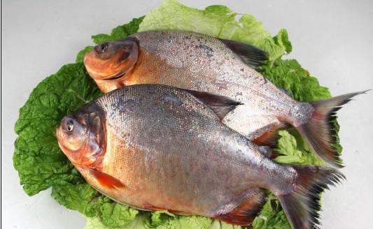 孟浩然是什么朝代的