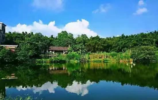 门前有水塘的风水好吗