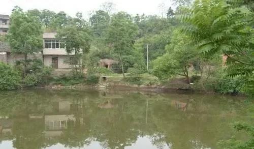 门前有水塘的风水好吗