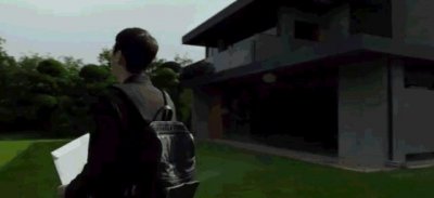 什么树当围墙最好 适合别墅庭院当围墙的植物有哪些