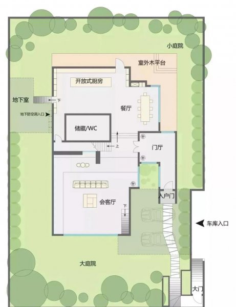 什么树当围墙最好