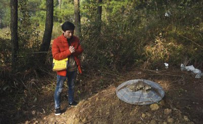 坟前种什么花风水最好 墓地适合栽种什么花比较吉利