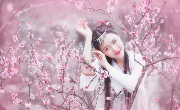 坟前种什么花风水最好