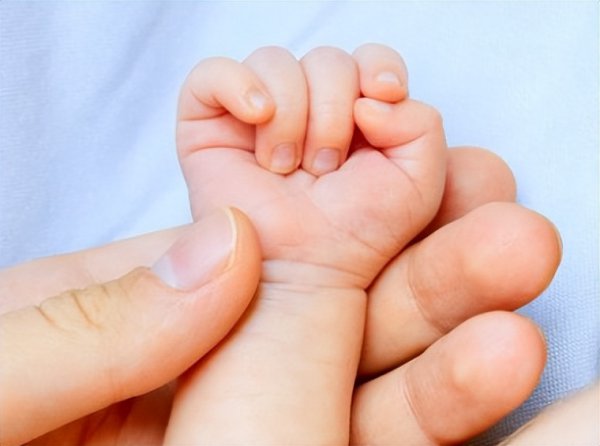 谢贤个人资料介绍