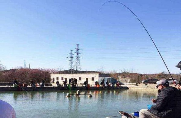 黑坑偷驴调漂的正确方法