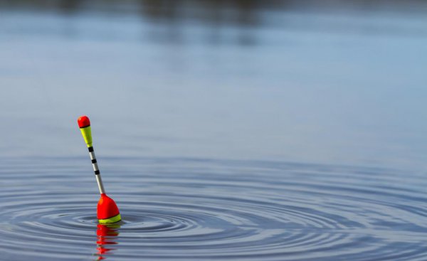 黑坑偷驴调漂的正确方法