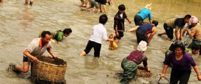 黄鳝钩哪个钩型好 一般最好的钓黄鳝钩是什么钩型