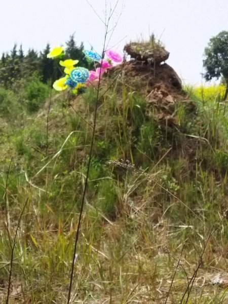 清明节可以放鞭炮吗