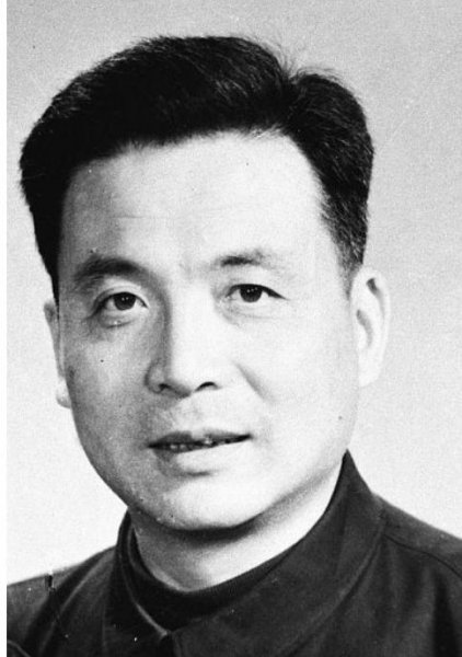 邓稼先的故事简介子女