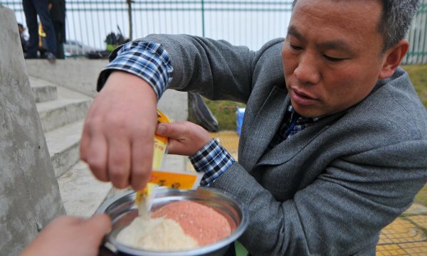 地笼抓黄鳝放什么饵料