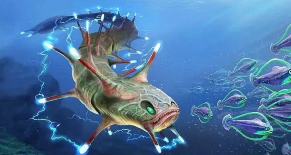 亚马逊食人鱼是什么鱼