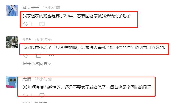 农村的鹅的寿命有多长