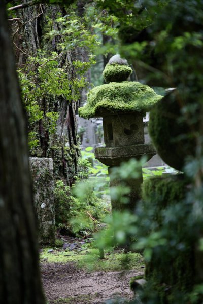 一枝红杏出墙来啥意思
