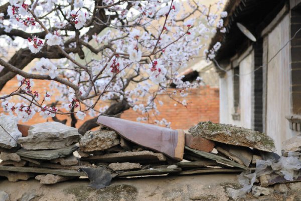 一枝红杏出墙来啥意思
