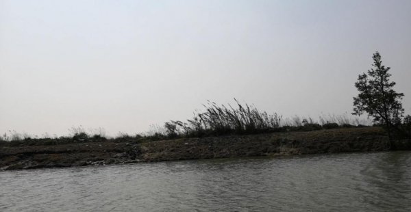 西北风钓鱼最佳钓位