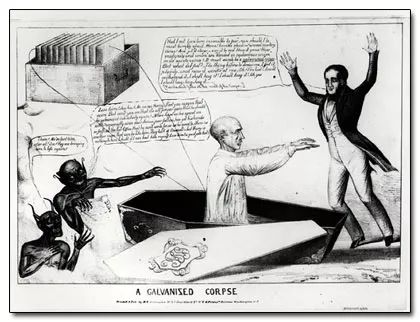 黑龙江猫脸老太太事件