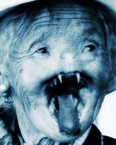 黑龙江猫脸老太太事件