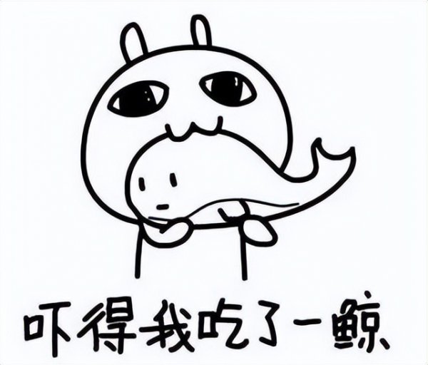 考研不联系导师会怎样