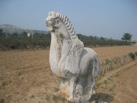 五姓七望是什么意思