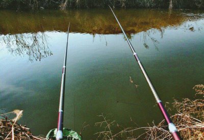 传统钓和台钓区别有哪些 传统钓与台钓哪种钓法好