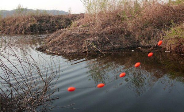 传统钓和台钓区别有哪些