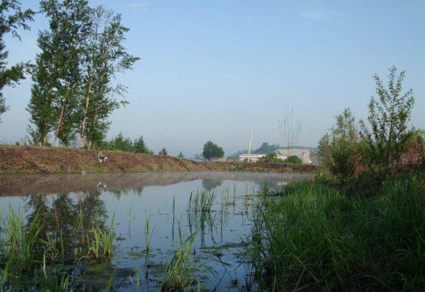 传统钓和台钓区别有哪些