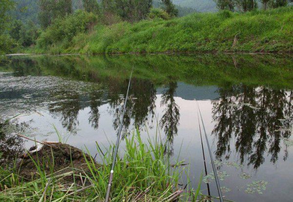 传统钓和台钓区别有哪些