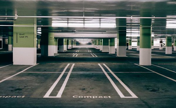 跳蚤的寿命有多长能活多久