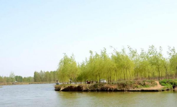 泥鳅可以钓什么鱼