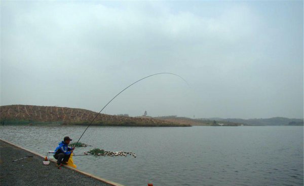 泥鳅可以钓什么鱼